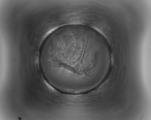X0000087621452200704271350