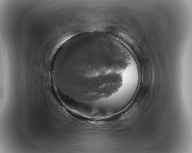 X0000087621453200704271350