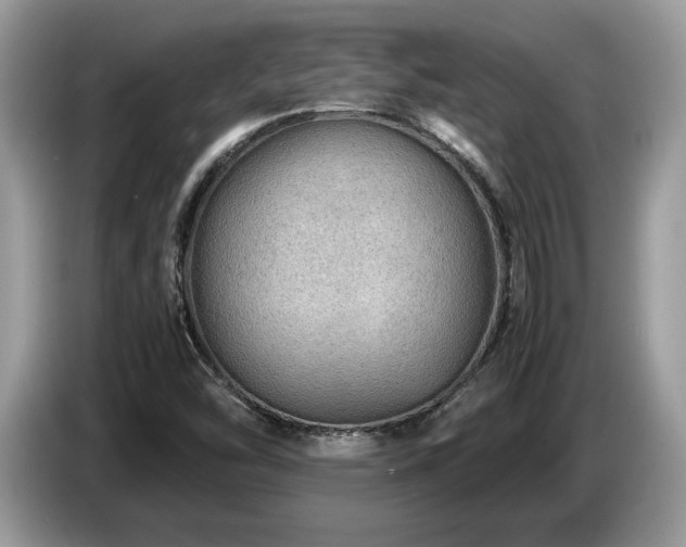 X0000087621454200704271350