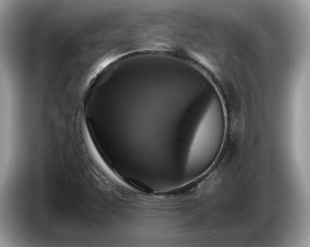 X0000087621455200704271350