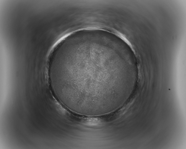 X0000087621456200704271350