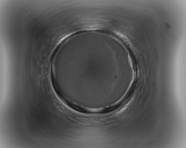 X0000087621457200704271350