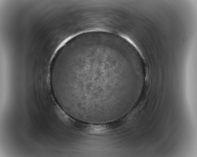X0000087621460200704271350