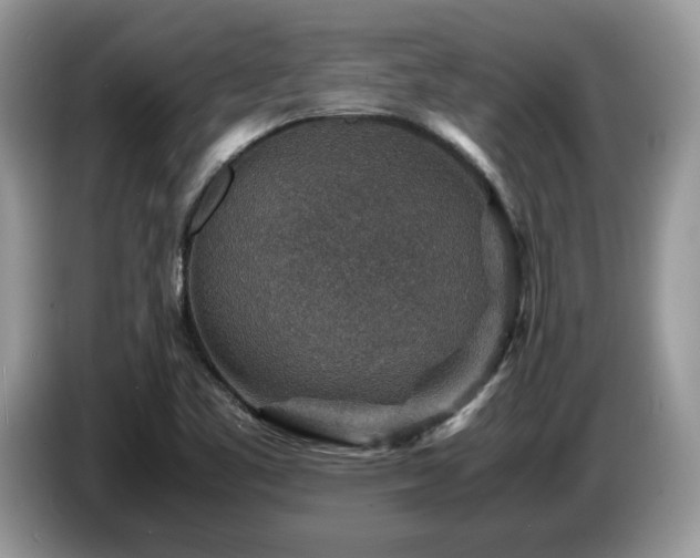 X0000087621461200704271350