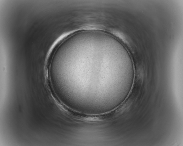 X0000087621462200704271350
