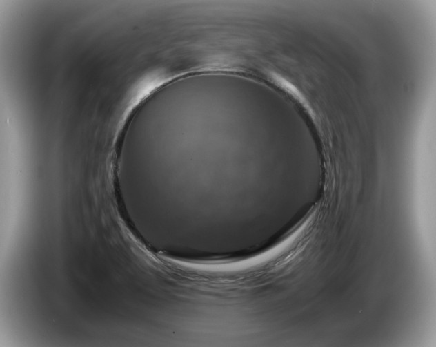 X0000087621463200704271350