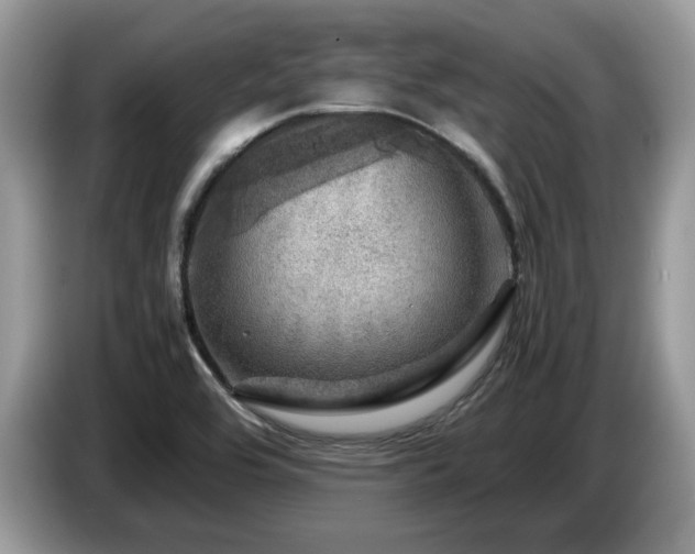 X0000087621464200704271350