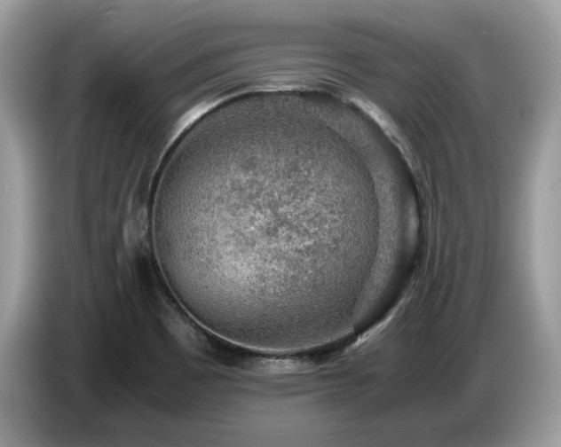 X0000087621465200704271350