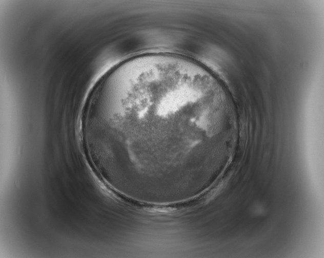 X0000087621466200704271350