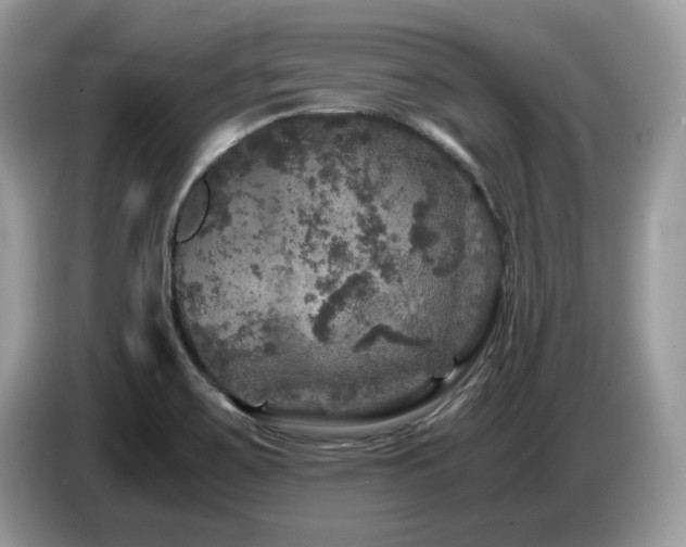 X0000087621467200704271350