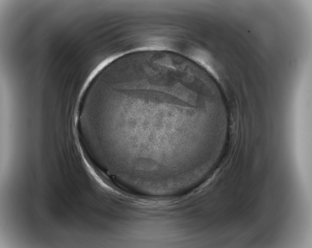 X0000087621468200704271350