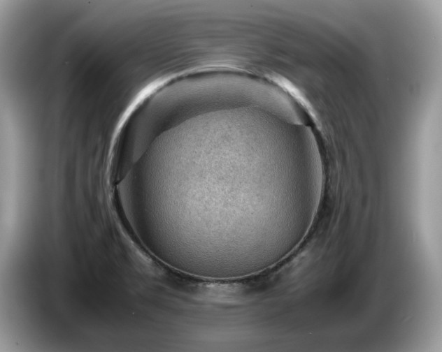 X0000087621469200704271350
