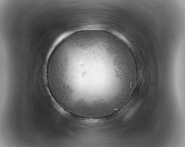 X0000087621470200704271350