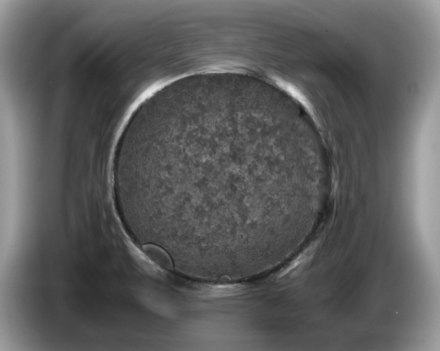 X0000087621471200704271350