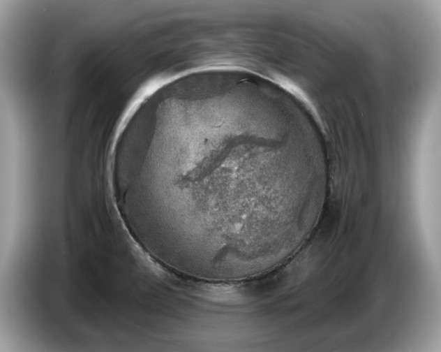 X0000087621472200704271350