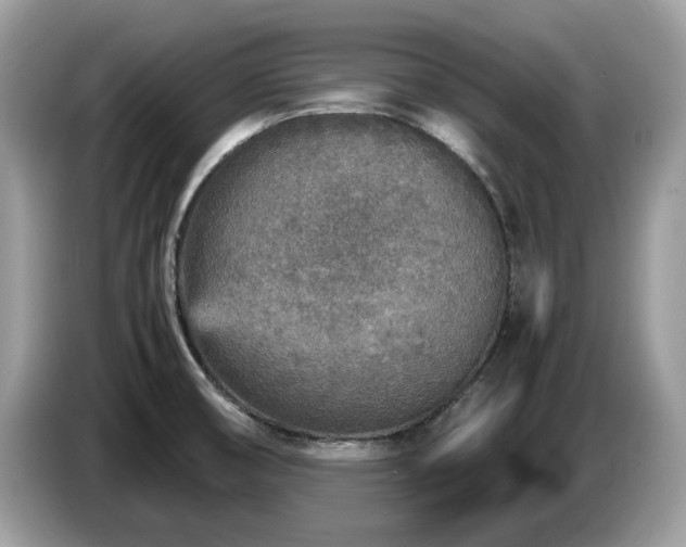 X0000087621474200704271350