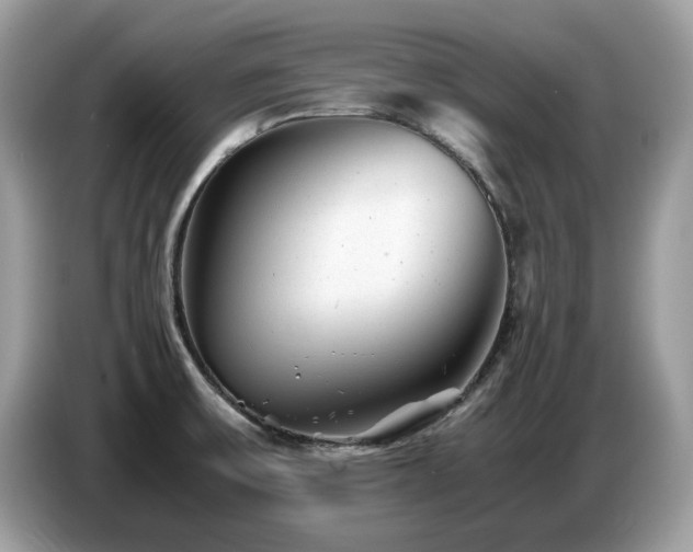 X0000087621475200704271350