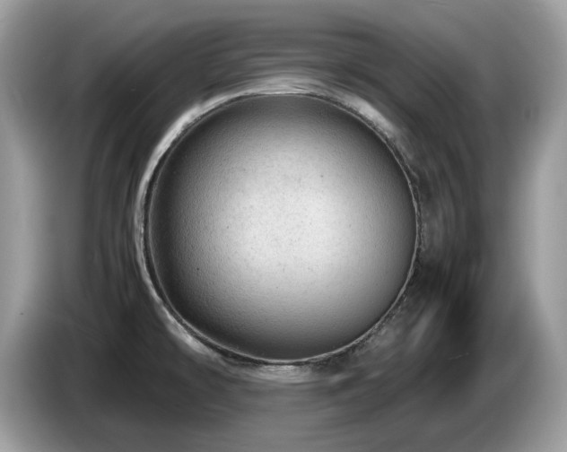X0000087621478200704271349