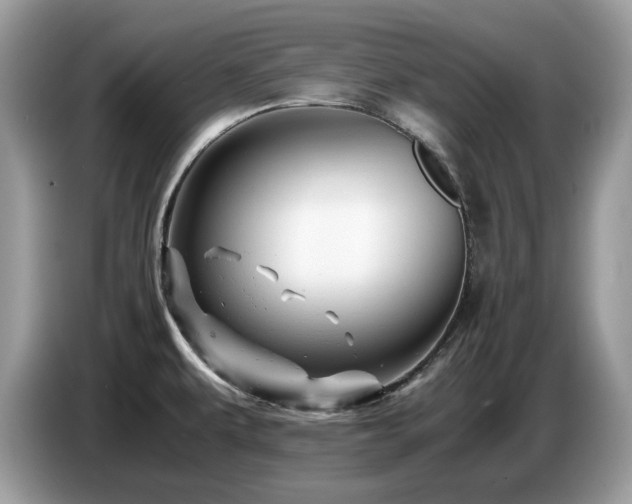X0000087621479200704271349
