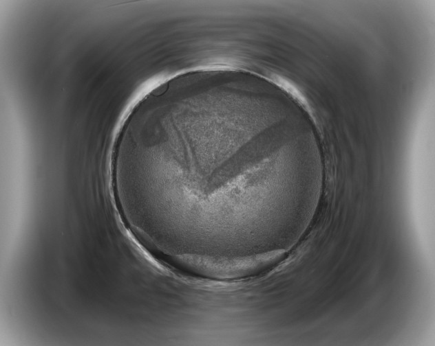 X0000087621480200704271349