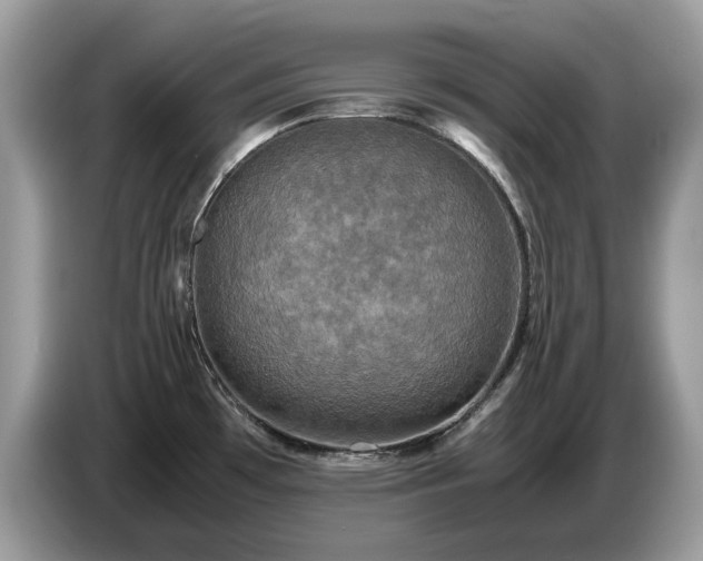 X0000087621481200704271349