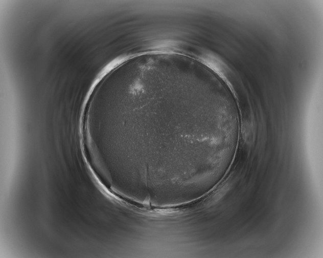 X0000087621482200704271349