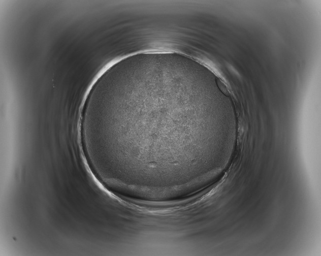 X0000087621484200704271349