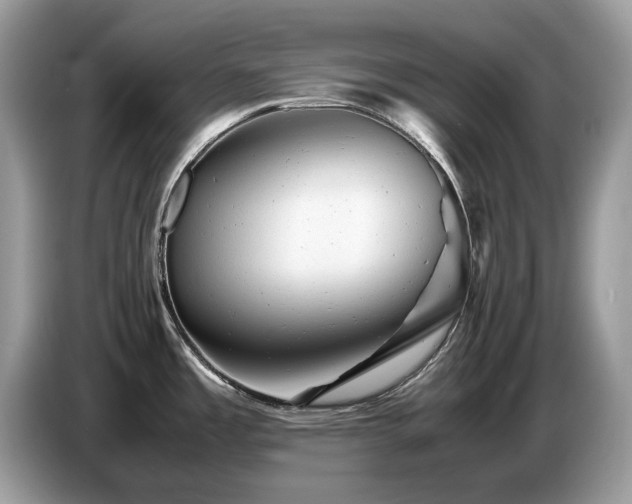 X0000087621485200704271349
