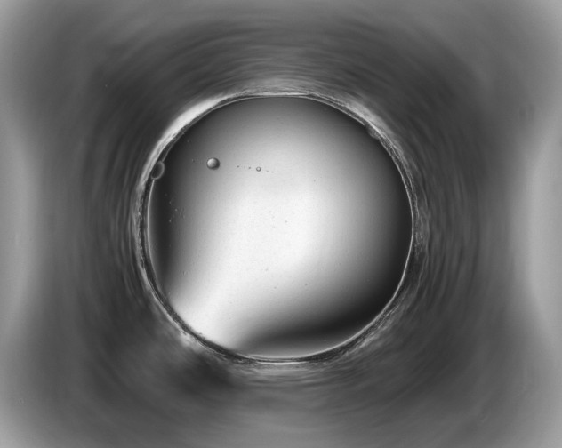 X0000087621486200704271349