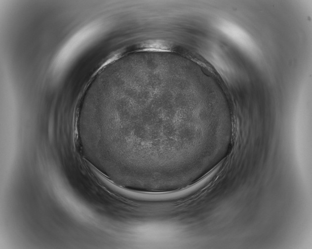 X0000087621487200704271349