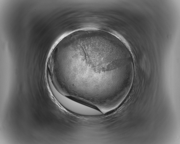 X0000087621488200704271349