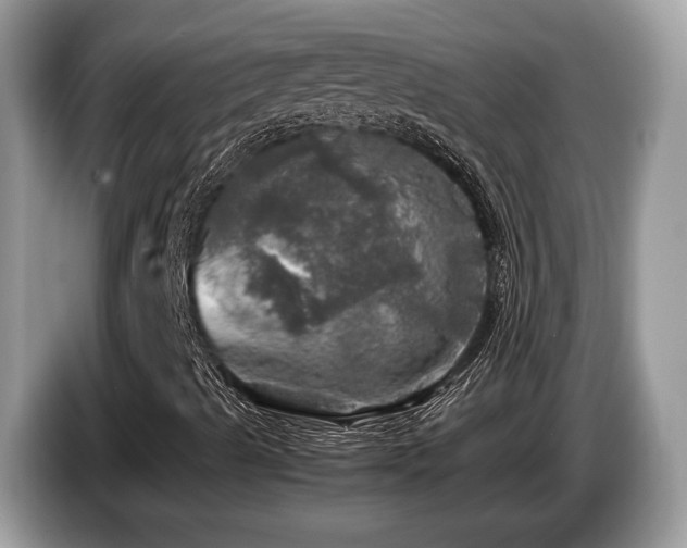 X0000087621489200704271349