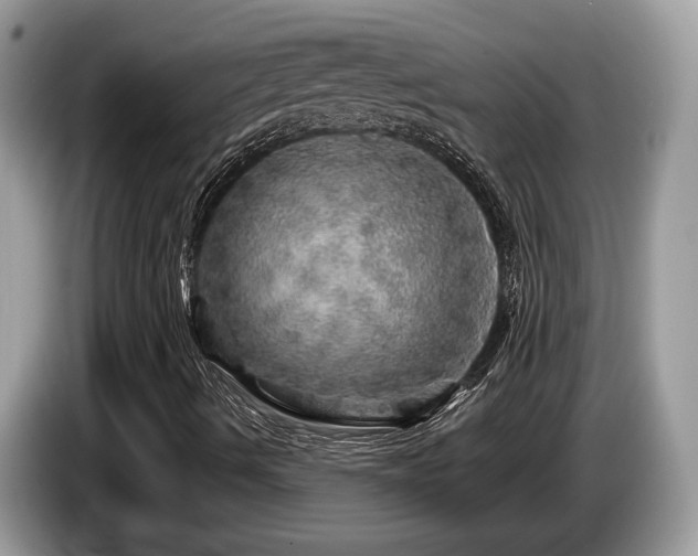 X0000087621490200704271349
