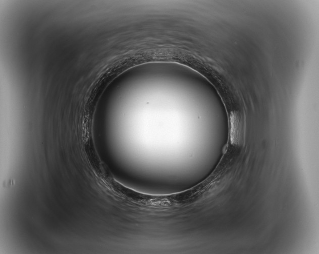 X0000087621491200704271349