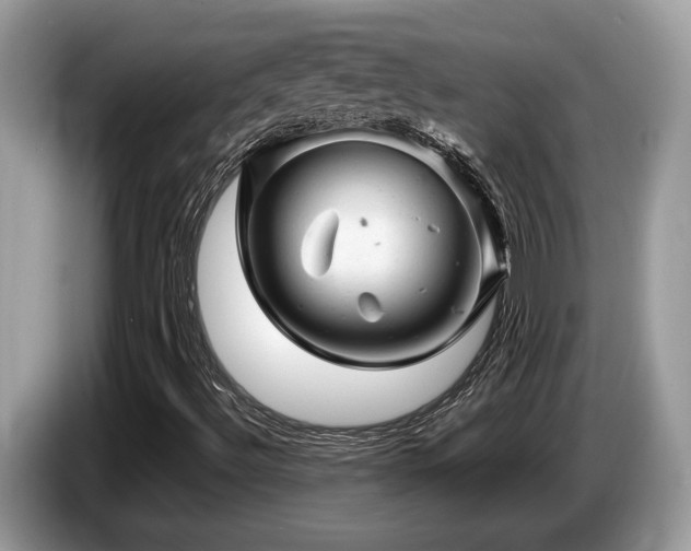 X0000087621492200704271349