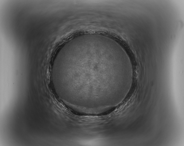 X0000087621493200704271349