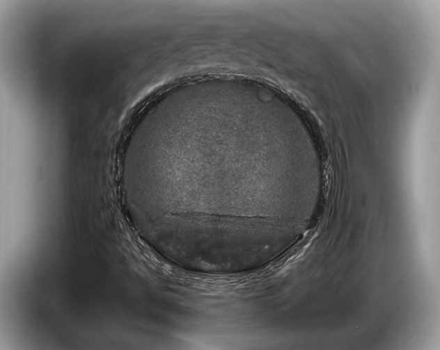 X0000087621494200704271349