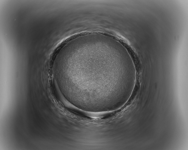 X0000087621496200704271349
