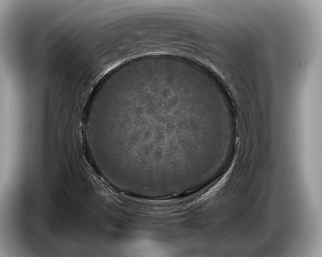 X0000087621497200704271349