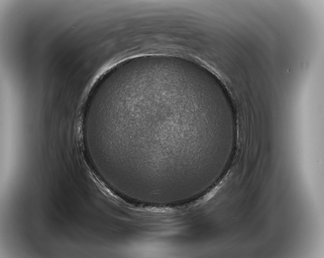 X0000087621498200704271349