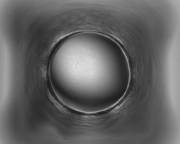 X0000087621499200704271349