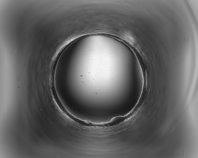 X0000087621500200704271349