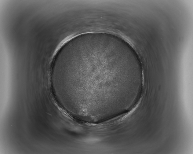X0000087621501200704271349