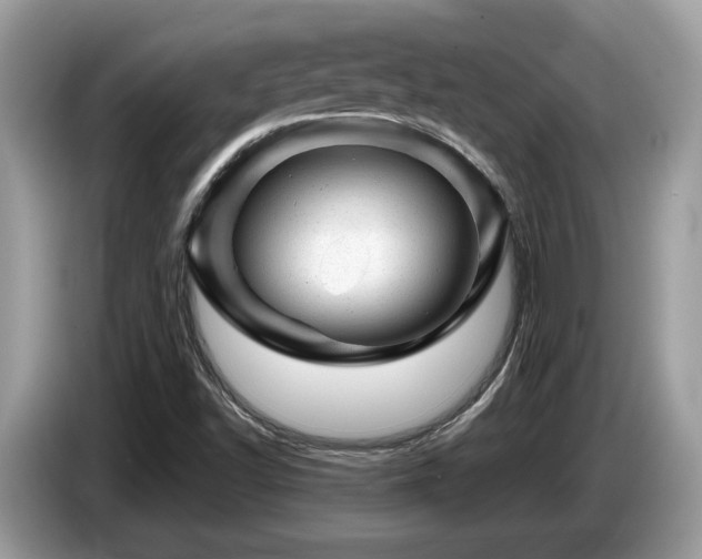 X0000087621502200704271349