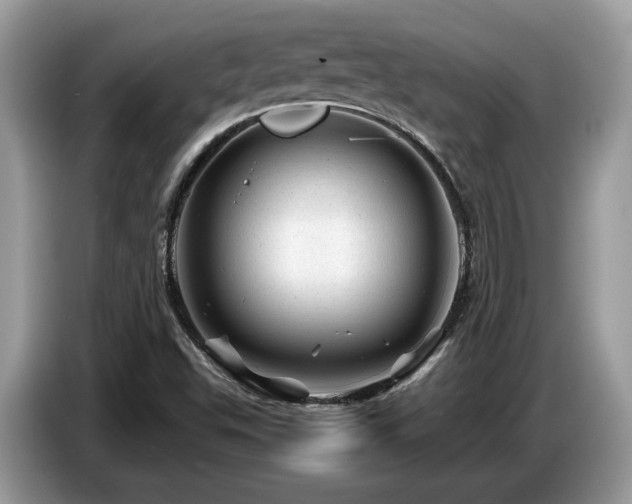 X0000087621503200704271349