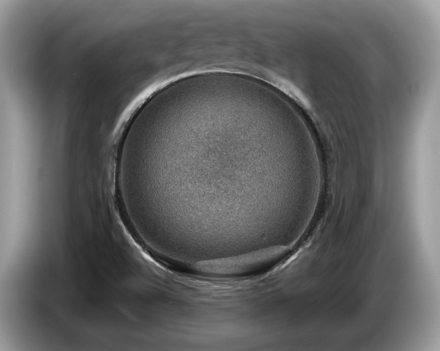 X0000087621504200704271349