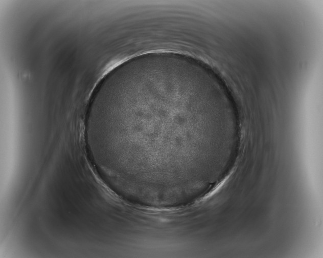 X0000087621505200704271349