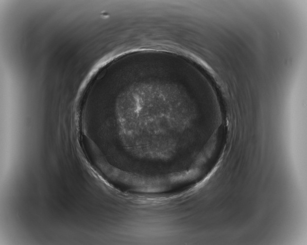 X0000087621506200704271349