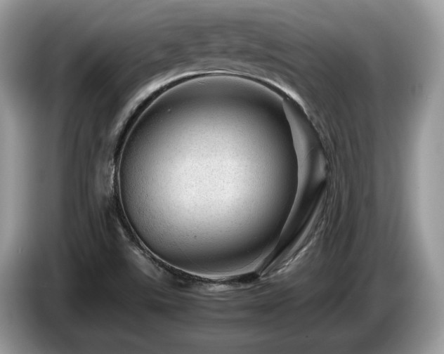 X0000087621507200704271349
