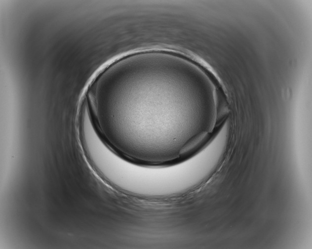 X0000087621508200704271349